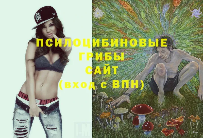 Галлюциногенные грибы MAGIC MUSHROOMS  Козельск 